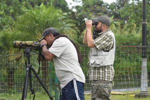 OBSERVACION DE AVES SUCUA